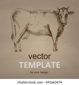 Cow hand drawn vector illustration. Vector template