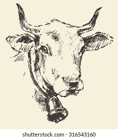 Cow head with bell, dutch cattle breed, vintage illustration, engraved retro style, hand drawn, sketch