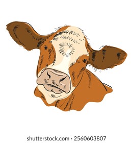 Cow head, bull, calf. Sketch artwork silhouette head cow. Vintage retro print, sketch ink pencil drawing, engrave. Vector Illustration. The cow's head is looking straight ahead.