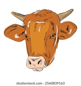 Cow head, bull, calf. Sketch artwork silhouette head cow. Vintage retro print, sketch ink pencil drawing, engrave. Vector Illustration. The cow's head is looking straight ahead.