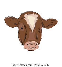 Cow head, bull, calf. Sketch artwork silhouette head cow. Vintage retro print, sketch ink pencil drawing, engrave. Vector Illustration. The cow's head is looking straight ahead.