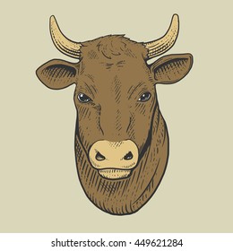 Cow head engraving style hand drawn vector illustration