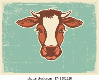 Cow head Farm animal. Vintage poster of vector illustration on old paper texture for text. Fresh Milk Cow portrait.