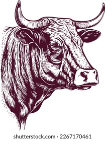 Cabeza de vaca con cuernos. Ilustración vectorial con estilo de grabado de madera dibujada a mano Eps 10