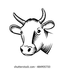 COW HEAD illustration vector
