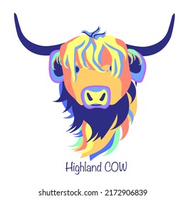 Rainbow abstract highland cow head portrait, scottish highland cow. Colored drawing. Vector illustration.