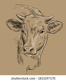 Cow head sketch hand drawn vector illustration in black color isolated on brown background. Vintage illustration of bull for label, poster, print and design.
