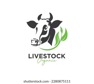 Cow head vector design on white background, Farm and livestock logo design, vector concept illustration