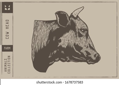 Ilustración del vector de cabeza de vaca - Dibujo manual - Línea de salida