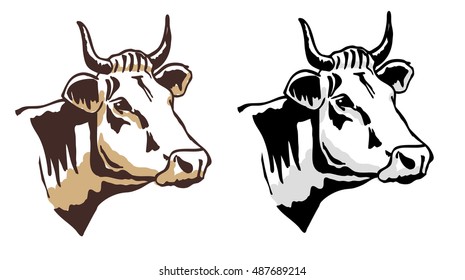 Cow head vector illustration. Two coloring tones.