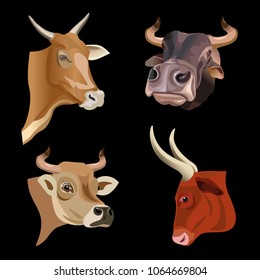 Cow heads set. Vector illustration isolated on black background