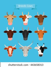 108,017 Cow breeds Images, Stock Photos & Vectors | Shutterstock