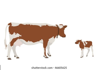 Cow And Her Calf