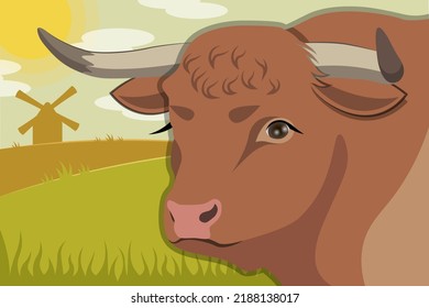 Cow, hills and meadows. Cow or bull standing on the field. Cute brown cow. Brown bull vector illustration. Rural landscape illustration in flat style. Milk farm. 