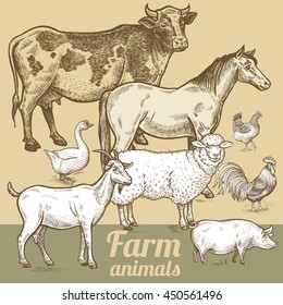 Cow, horse, sheep, goat, pig, goose, rooster, chicken. Vector illustration of farm animals. The poster for creation of packaging design farm products, signage and billboards of natural food stores.