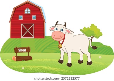Cow House Shed I Cow in Farm I Shed