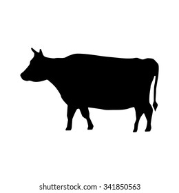Cow Icon. 