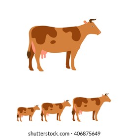 Cow icon