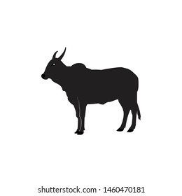 cow icon - design template vector