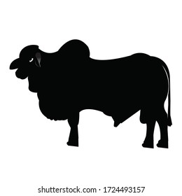 Cow icon vector graphics design