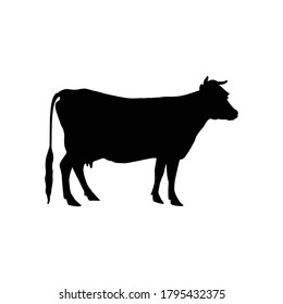 Cow Silhoutte Logo Vector Illustration Stock Vector (Royalty Free ...