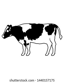 
Cow Icon vector symbol icon
