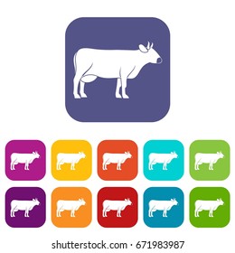 Cow icons set vector illustration in flat style In colors red, blue, green and other