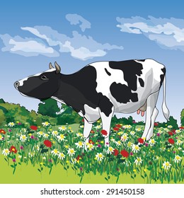 Cow illustration