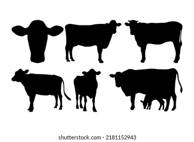 Cow illustration bundle isolated on white background svg