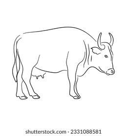 Ilustración de vaca en estilo doodle. Vector aislado en un fondo blanco. 