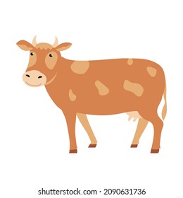Cow, illustration isolated on white background