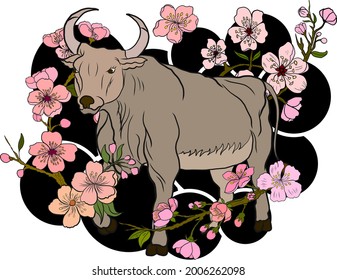 Ilustración de vaca para imprimir en camiseta. Año de vaca. Signo de zodiaco chino de año nuevo de set. Signos de animal zodiaco chino y vector de flor de cerezo en el fondo.