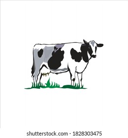 Cow illustration vector art and drawing