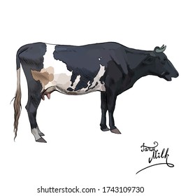 Cow Illustration Vector Realistic Farm Animals