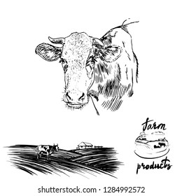 cow illustration vector set farm