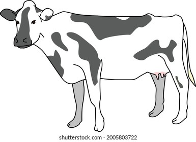 Cow Ilustration for MeatShop and anything