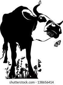 cow isolated on white background
