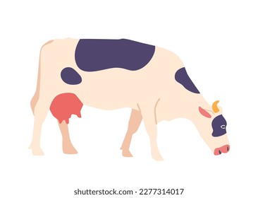 Cow Isolated On White Background. Domestic Mammal With Spotted Coat Providing Milk, Meat, And Other Dairy Products