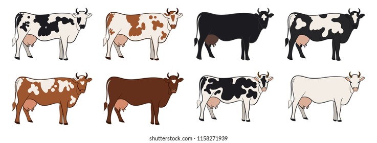 Cow isolated on white, hand drawn vector illustration. Vector Set.