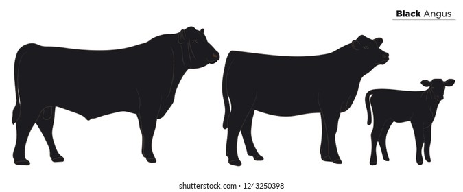 Cow isolated on white, hand drawn vector illustration.