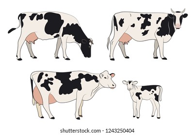 Cow isolated on white, hand drawn vector illustration.