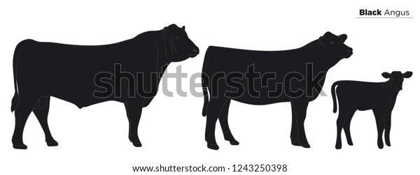 3,299 Angus Cow Vector Images, Stock Photos & Vectors | Shutterstock