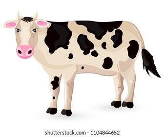 Cow isolated on white Vector. Cartoon character detailed illustrations