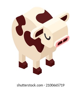 Cow isometric icon. Hand drawn vector illustration isolated on white. Flat color design.