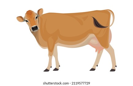 Cow Jersey - The Best Milk Cattle Breeds. Farm animals. Vector Illustration.