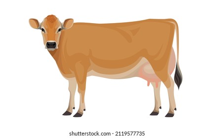 Cow Jersey - The Best Milk Cattle Breeds. Farm animals. Vector Illustration.