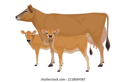 Cow Jersey with Calfs - The Best Milk Cattle Breeds. Farm animals. Vector Illustration.