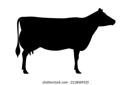 Cow Jersey Silhouette - The Best Milk Cattle Breeds. Farm animals. Vector Illustration.