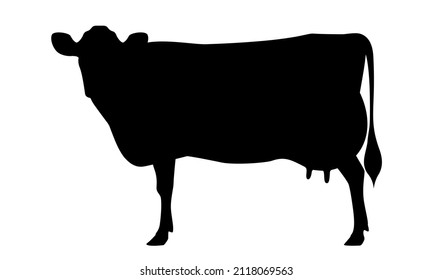 Cow Jersey Silhouette - The Best Milk Cattle Breeds. Farm animals. Vector Illustration.