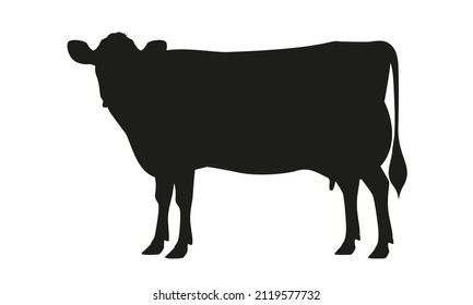 Cow Jersey Silhouette - The Best Milk Cattle Breeds. Farm animals. Vector Illustration.